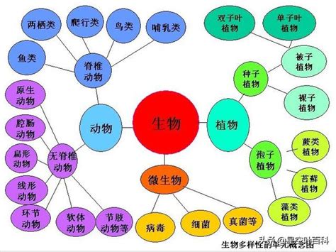 界門綱目科屬種口訣